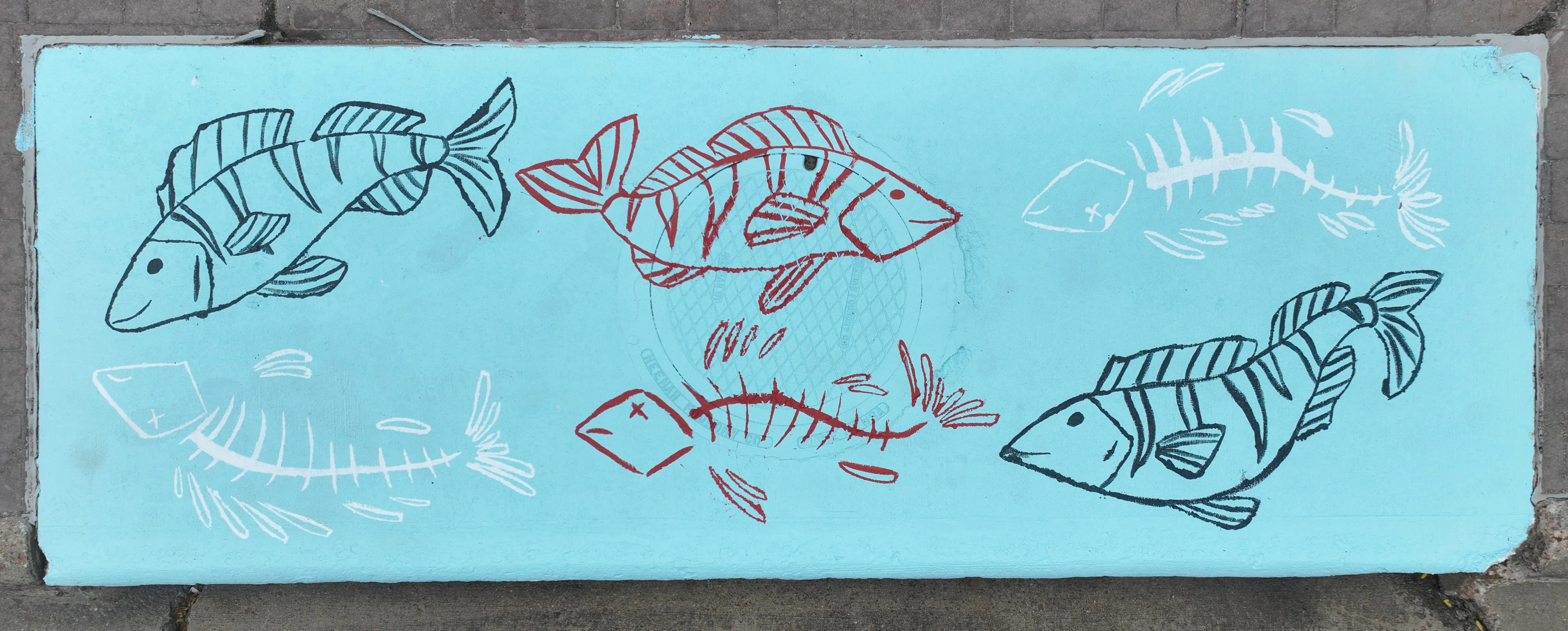 A mural on a storm inlet drain featuring alternating fish and dead fish skeletons on a light blue background.