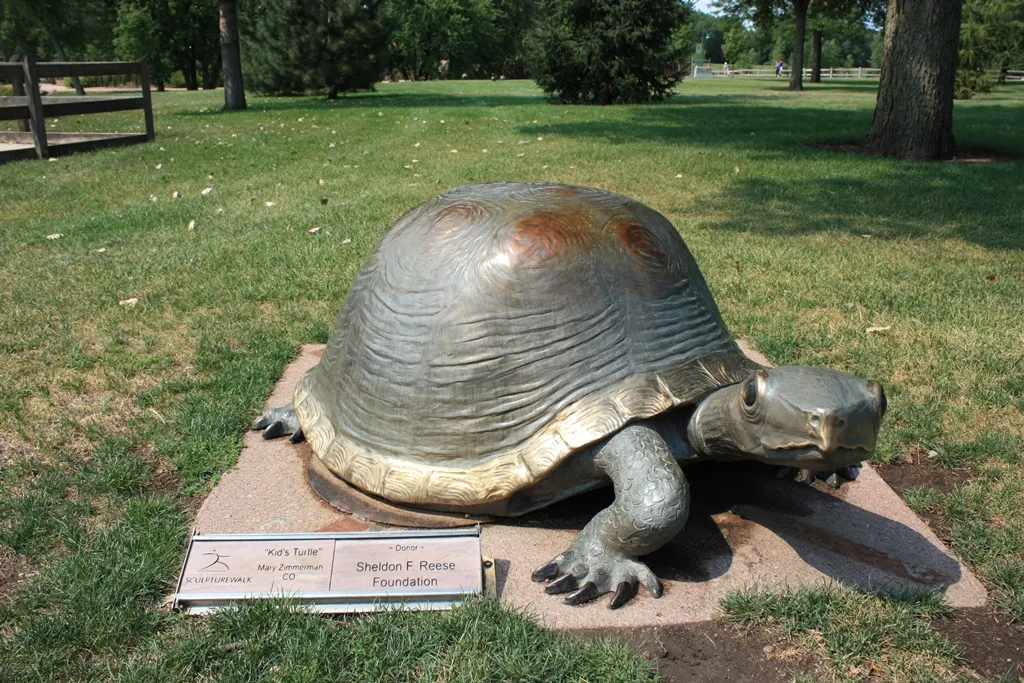 Artwork: Kids Turtle
