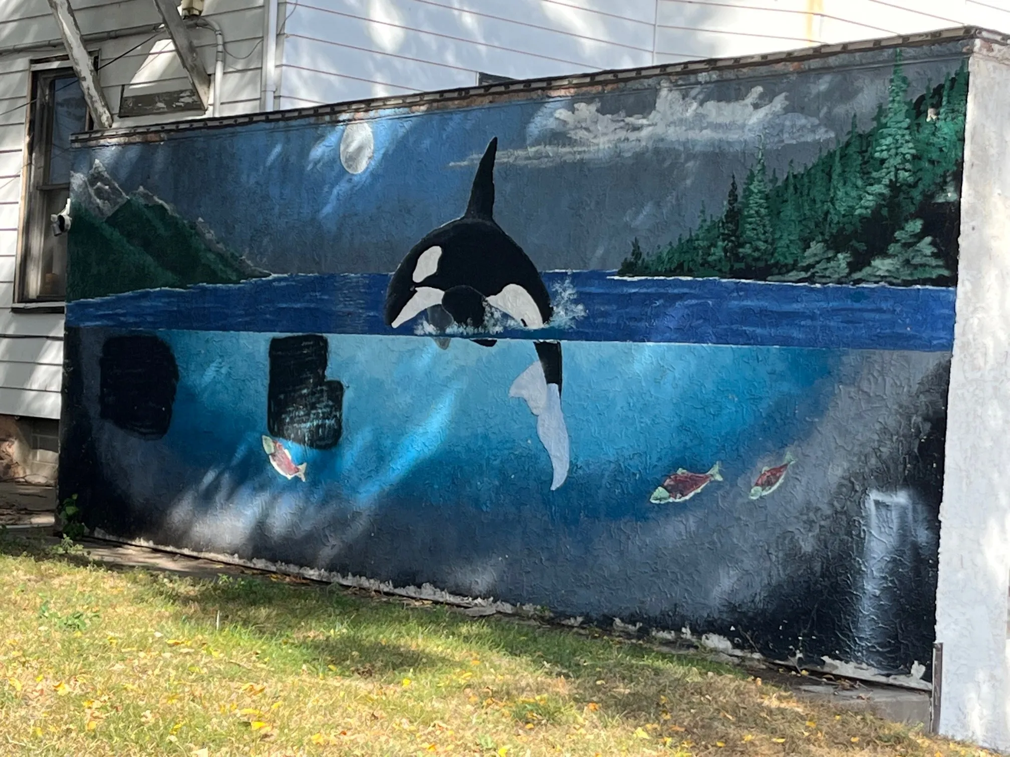 Mural: Whale